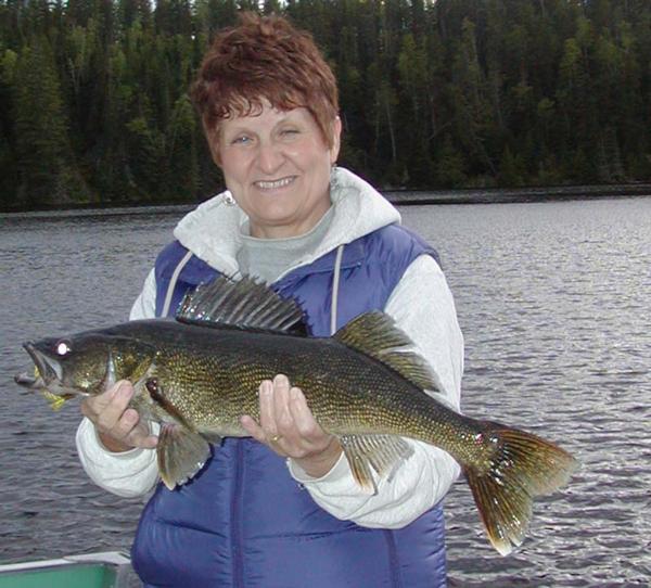 The Loten Walleye Rig